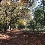 Kunstenaars Boshuisje Veluwe Hoenderloo