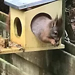 Kunstenaars Boshuisje Veluwe *