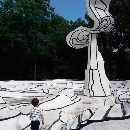 Kunstenaars Boshuisje Veluwe 霍德鲁
