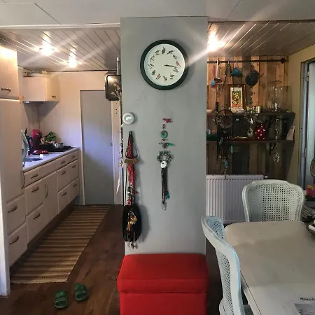 Kunstenaars Boshuisje Veluwe Chalet Hoenderloo