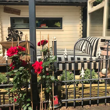 Chalet Kunstenaars Boshuisje Veluwe