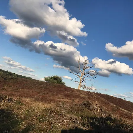 Kunstenaars Boshuisje Veluwe Hoenderloo