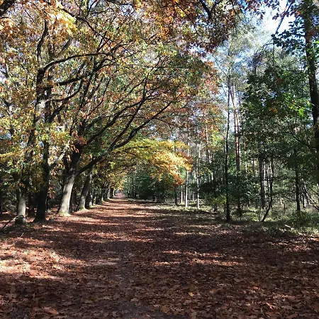 Kunstenaars Boshuisje Veluwe Hoenderloo