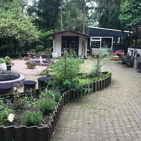 Kunstenaars Boshuisje Veluwe Chalet *