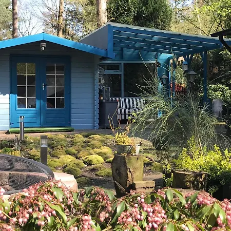 Kunstenaars Boshuisje Veluwe Horská chata