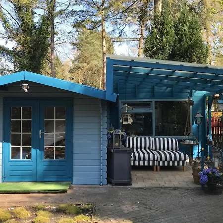 Kunstenaars Boshuisje Veluwe Chalet