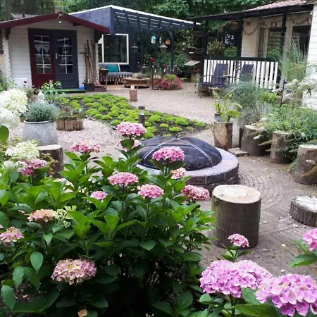 Chalet Kunstenaars Boshuisje Veluwe Hoenderloo