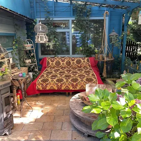 Kunstenaars Boshuisje Veluwe Chalet