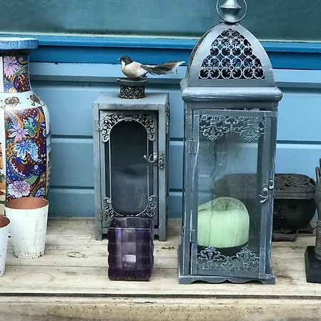 Chalet Kunstenaars Boshuisje Veluwe Hoenderloo