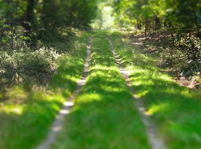 シャレー Kunstenaars Boshuisje Veluwe