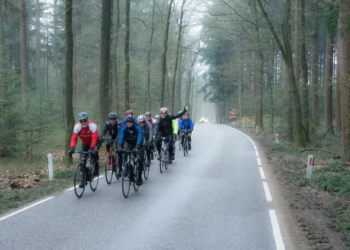 Kunstenaars Boshuisje Veluwe Chalet Hoenderloo