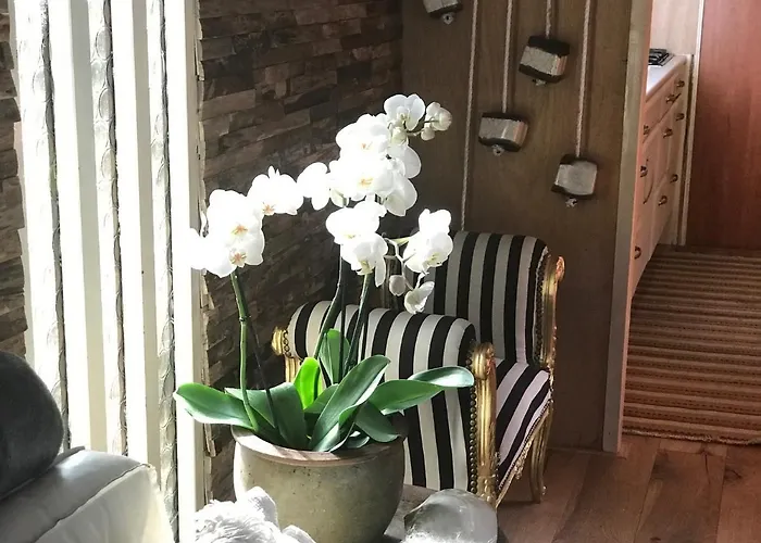 Kunstenaars Boshuisje Veluwe *