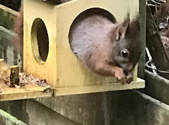 Kunstenaars Boshuisje Veluwe *