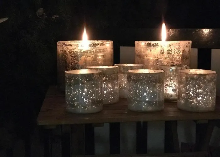 Kunstenaars Boshuisje Veluwe Chalet