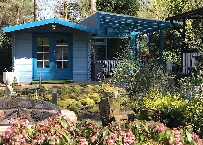 Kunstenaars Boshuisje Veluwe Horská chata