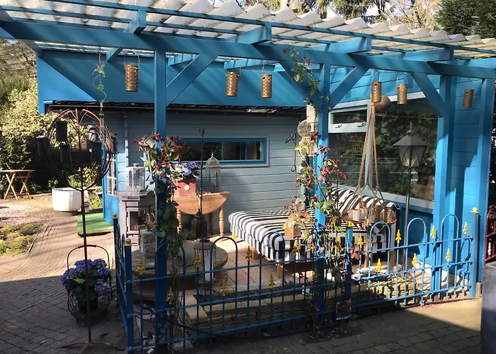 Chalet Kunstenaars Boshuisje Veluwe Hoenderloo