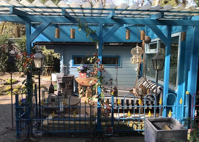 Kunstenaars Boshuisje Veluwe Chalet Hoenderloo