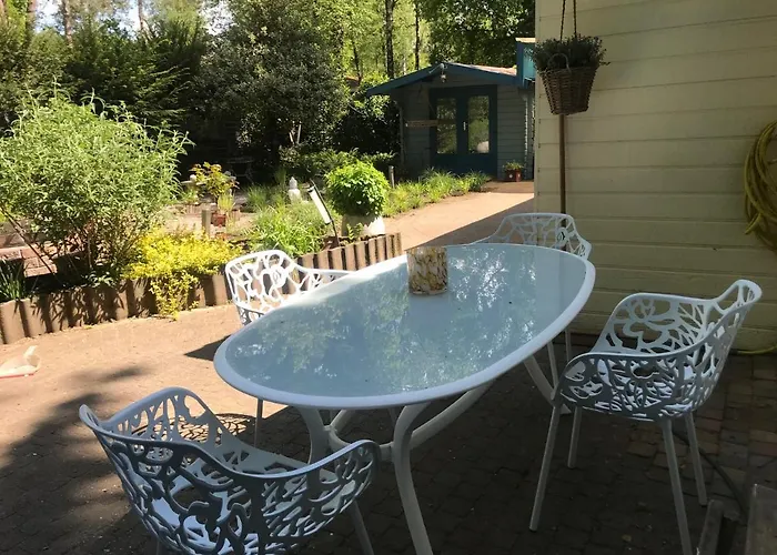 Kunstenaars Boshuisje Veluwe * Hoenderloo