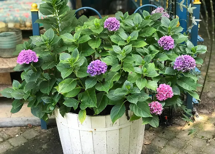 Kunstenaars Boshuisje Veluwe