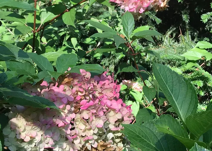 Kunstenaars Boshuisje Veluwe シャレー ホンデルロー