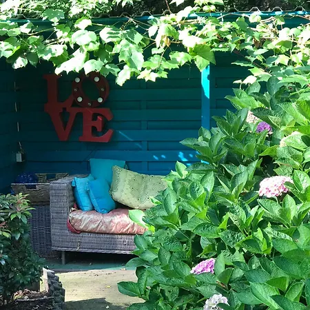 Chalet Kunstenaars Boshuisje Veluwe Hoenderloo